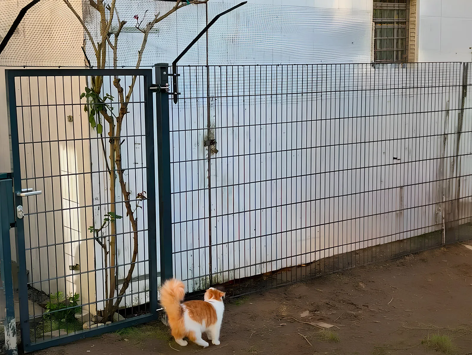 Ein offener Katzengarten