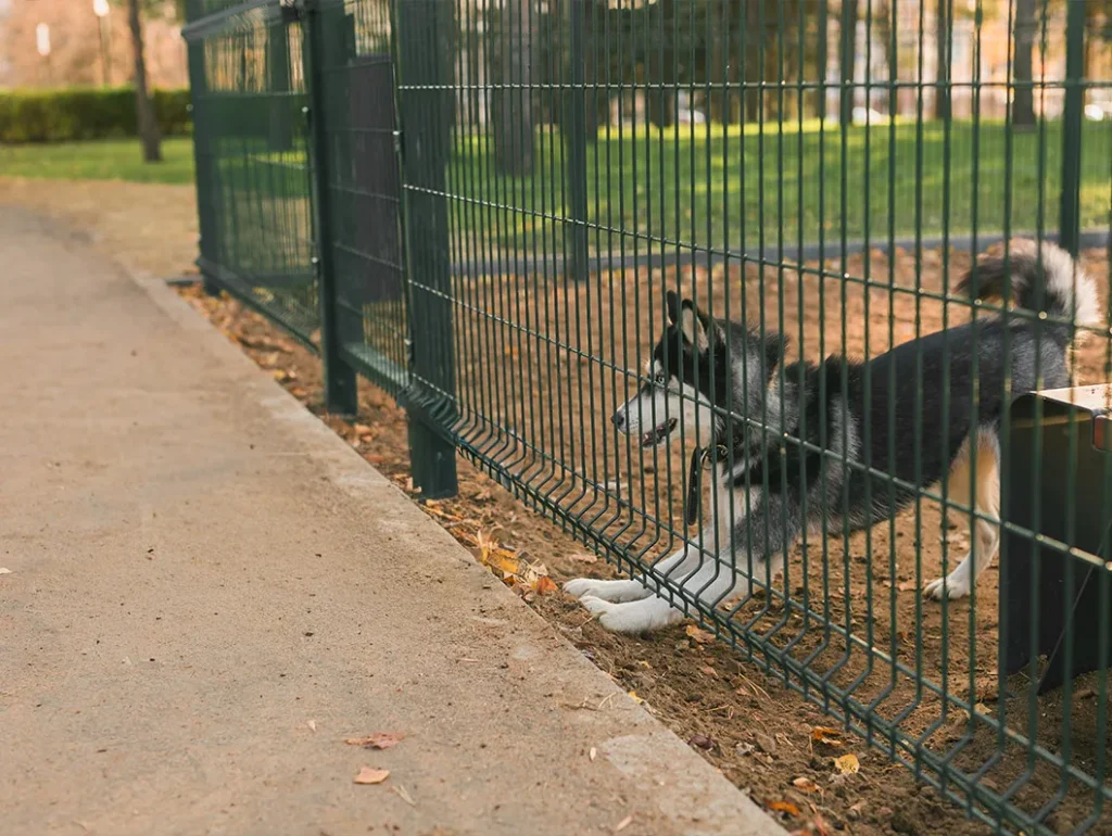 Planung & Anpassung an Ihr Gelände